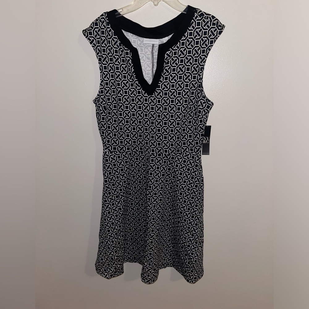 New York & Company Dress